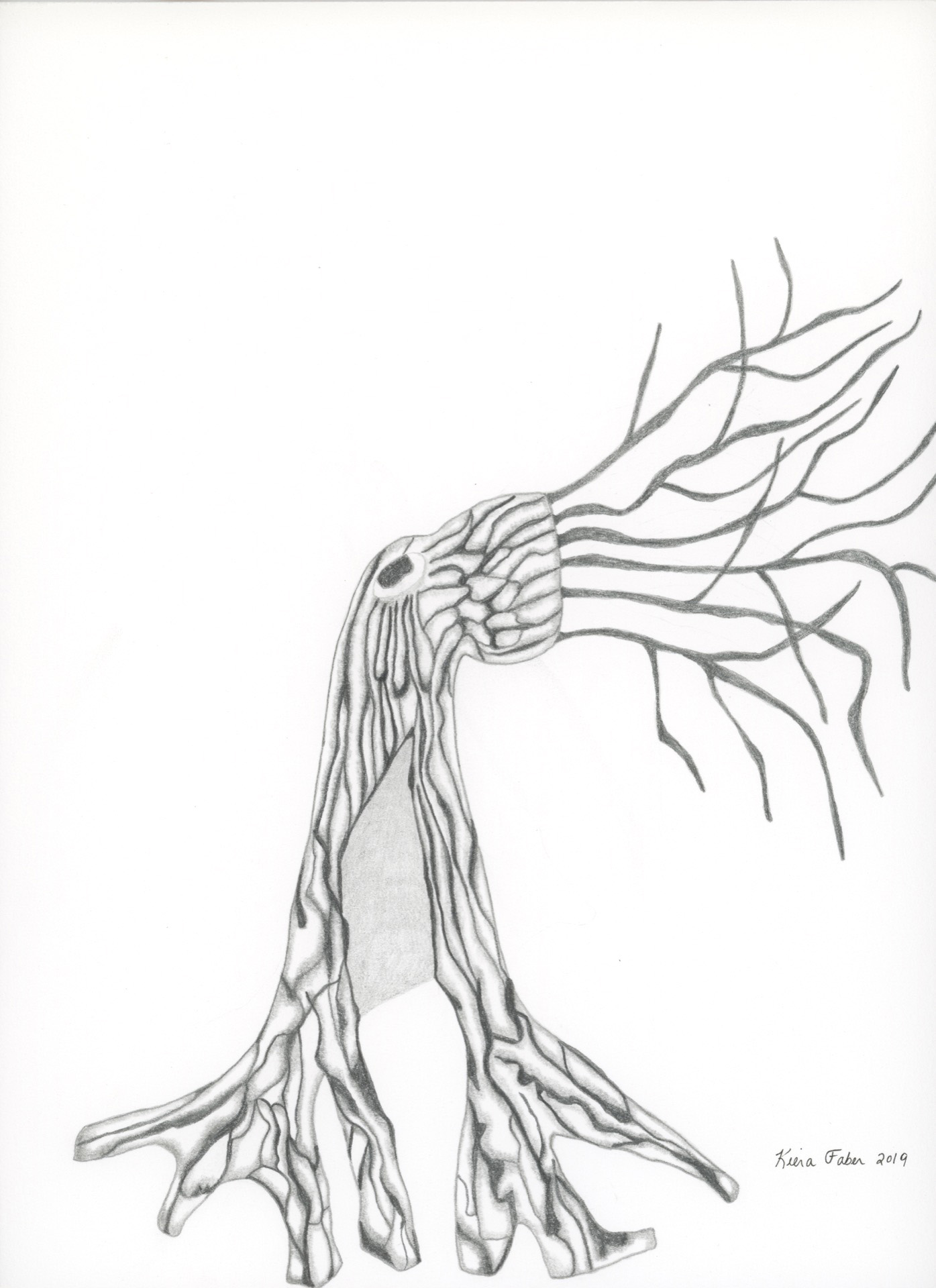 The Garden Sees Fire - kierafaber.com